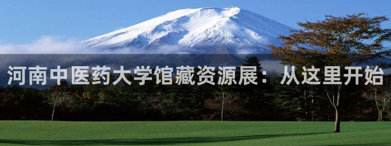 九游会怎么了：河南中