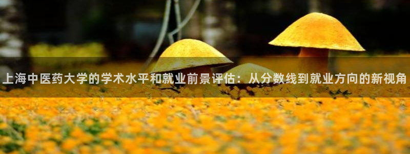 九游会ag私享