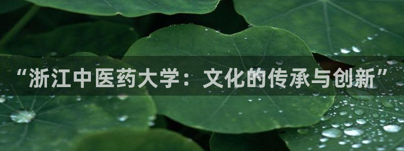 ag九游会客户端：“